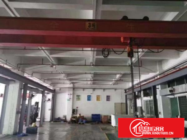 清溪罗马村新出1楼800平带行车办公室，车间水电齐全