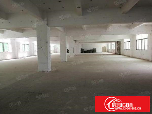 坑梓同富裕第二工业区红本独栋1000平米出租大小可分租无公摊