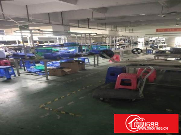 大岭山镇龙大高速附近空出带装修2楼约2250平方