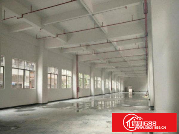 龙岗区平湖新出标准厂房一楼720平方现成办公交通便利出租