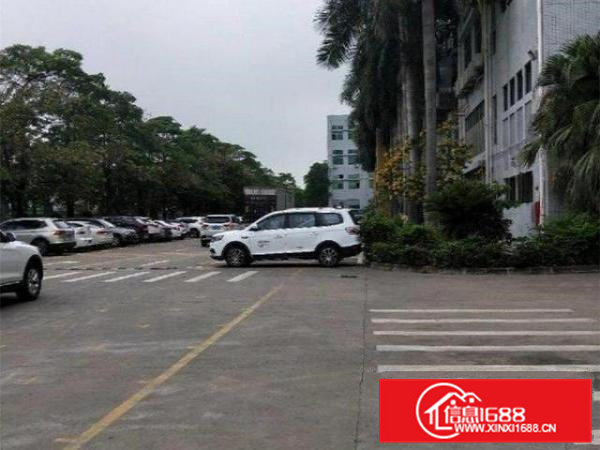 房东直租新联村附近，二楼1000平标准厂房，形象好，可分租