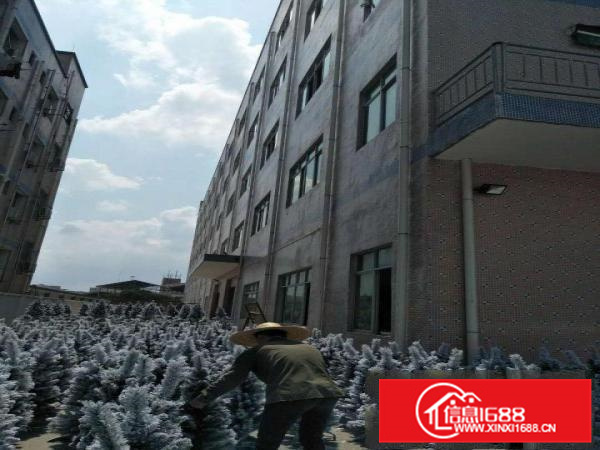 全新独院标准厂房出租，层高5米交通方便（可整可分）