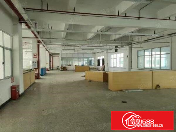 桥头镇石水口村3万平原房东独院厂房出租，超大空地