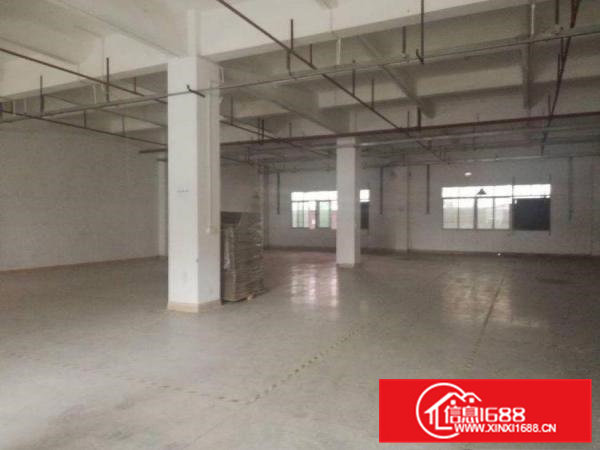 南栅新出原房东标准厂房一楼800平米出租形象好