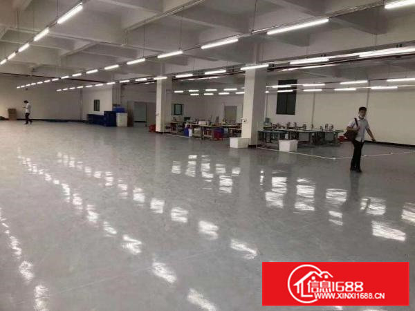 寮步华南城分租一楼460平，楼上1465平豪华装修全新地坪漆