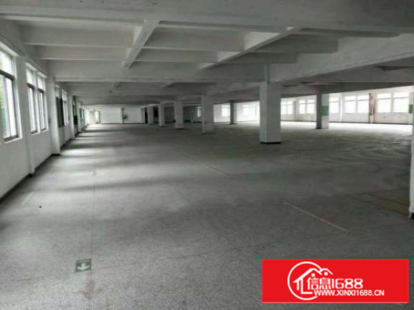 万江简沙洲新出独门独院标准厂房3600平方出租