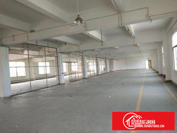 坪地坪西市场附近大院子，独院厂房1500平米