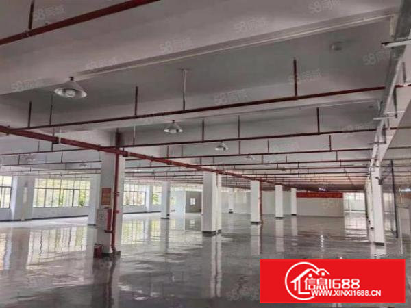 清溪镇高新工业园空出二楼整层5600平精装修厂房现出租