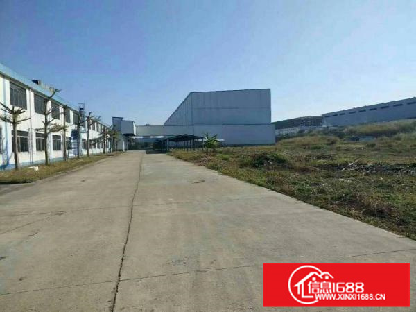 惠阳秋长新出钢构3栋总面积5万平。大小可分米滴水8