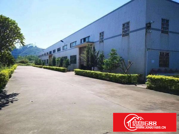 城区单层6米高9000平米单层钢构厂房10元出租