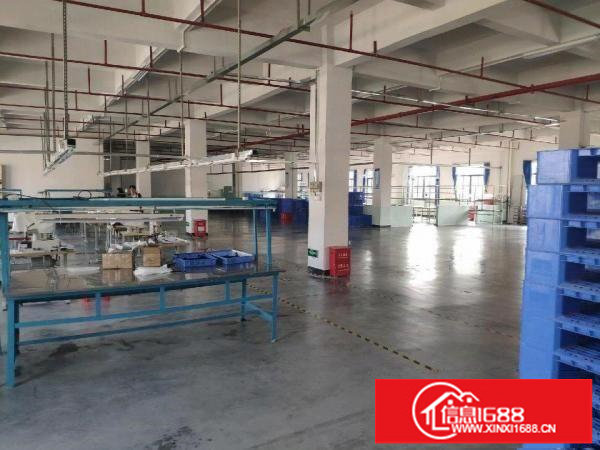 坪地北通道标准厂房二楼1620平精装办公室