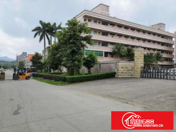 惠阳新圩独门独院红本标准厂房3000平出租