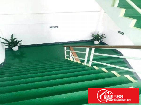 爱联独院分租楼上1200平米有红本有环评