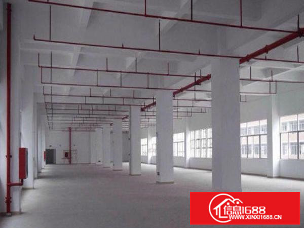 出租坪山三洋湖标准厂房2800平米可分租1400平