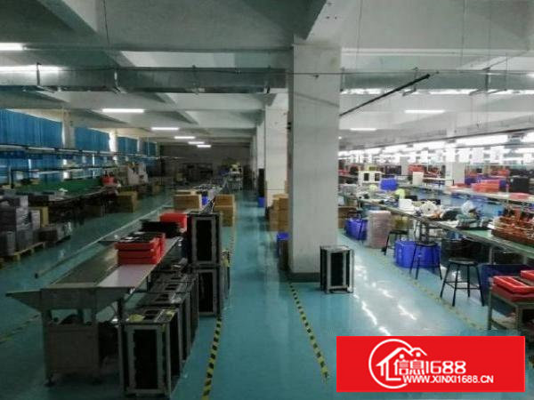 塘厦石潭埔社区楼上整层2300平出租，办公室精装，线路到位