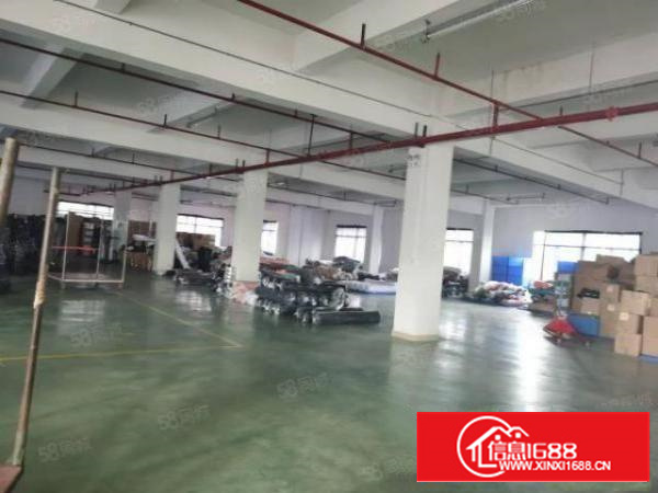 茶山卢屋成熟工业区中心地带，单层1580平带消防喷淋