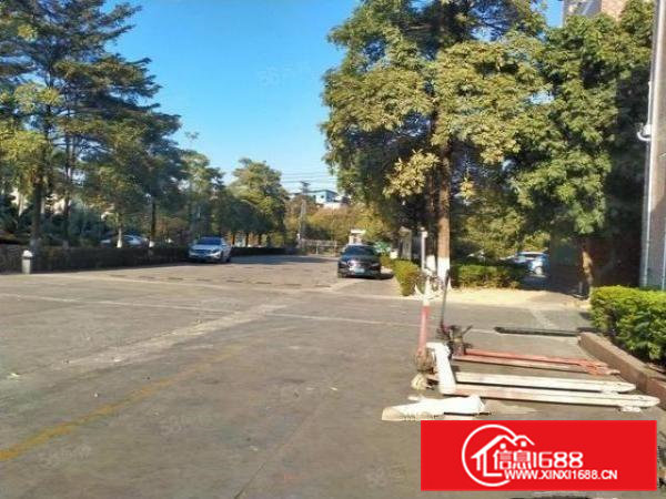 大岭山厂房出租家具厂房独院钢构3.4万平可做喷粉