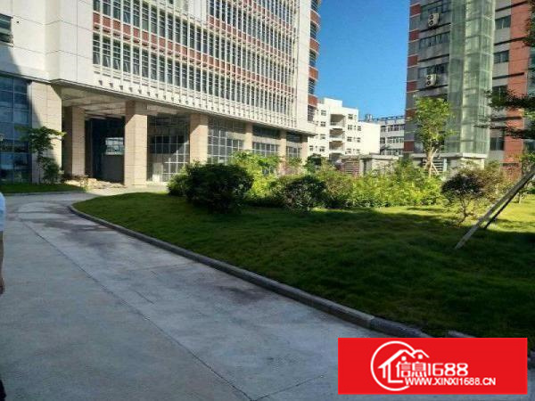 仲恺TCL旁一楼厂房出租2500平米层高6米