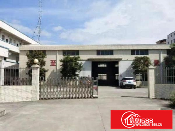 容桂幸福社区原房东招租910平方厂房