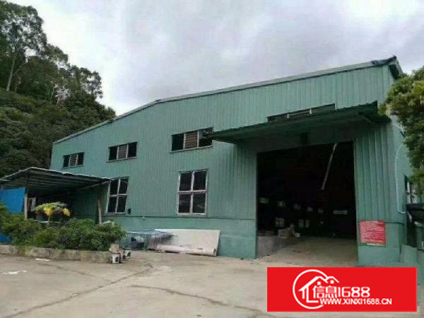 急租，田心独院单一层3000平米9米高钢构厂房出租