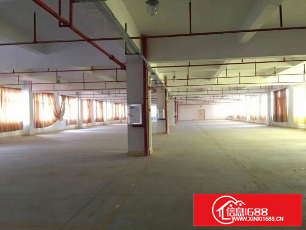 大亚湾独院厂房，9000带现成装修