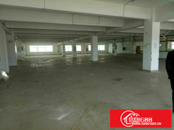 惠阳秋长独院带空地厂房仓库出租免中介费