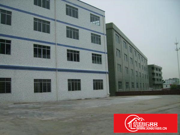 常平镇板石村常东路工业园招租