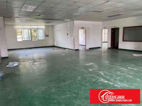 观澜福民龙观快线边上新出带装修560平方出租