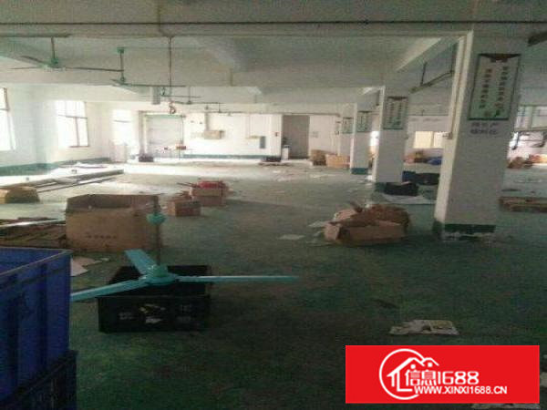 凤岗金凤凰原房东4000平方米独院厂房出租