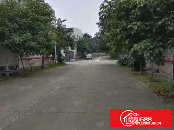 塘厦凤凰岗大道新出标准2楼厂房1600平方出租