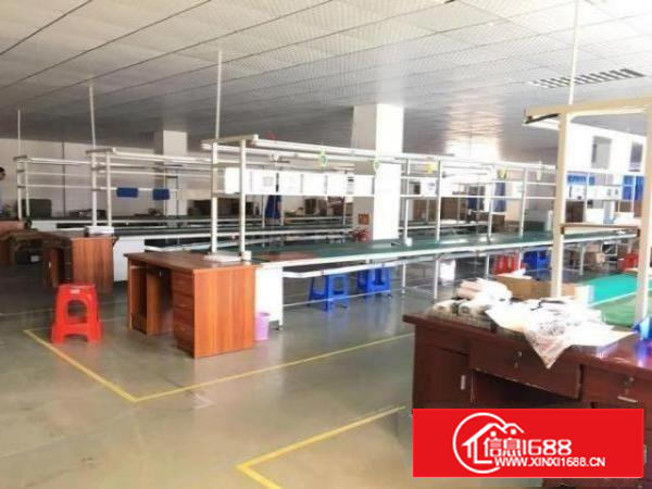 石排庙边王新出3楼实际面积800平原房东厂房出租，带装修