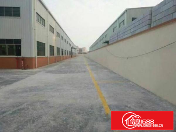 新圩高速出口原房东独院钢构5000平方，滴水八米