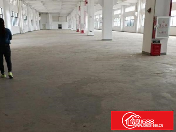 丹灶一到三层全新标准厂房4200方出租，可分租