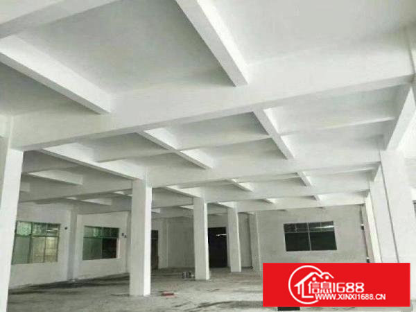 桥头厂房5300平米