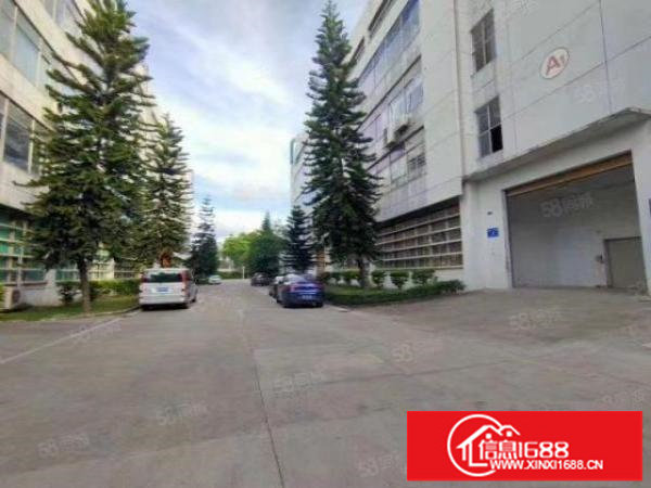 龙华区观澜靠近龙观快线旁边大型工业园原房东标准厂房一楼招租。