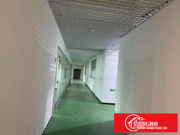 大浪石龙仔工业区新出500平600平800平带装修厂房招租