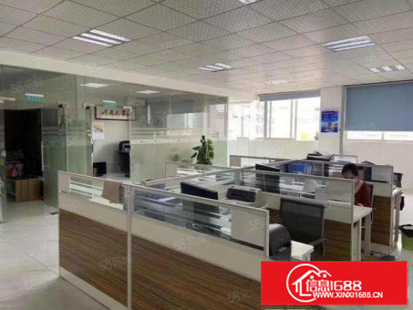 大朗蔡边本地房东一楼630平方厂房10元招租免押金