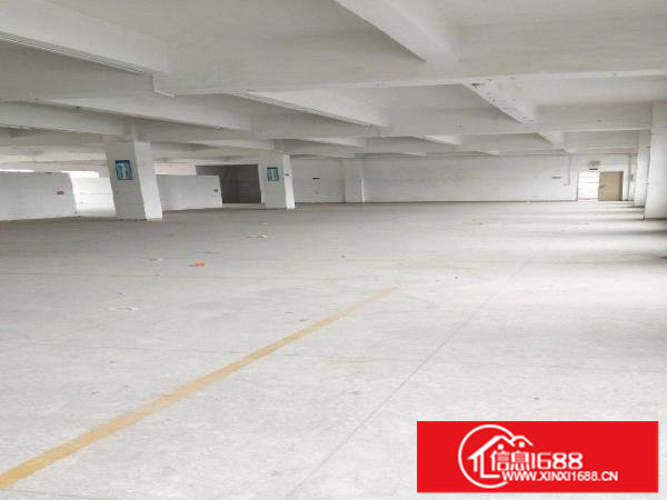 龙岗龙西工业区独院厂房5000平米可分租