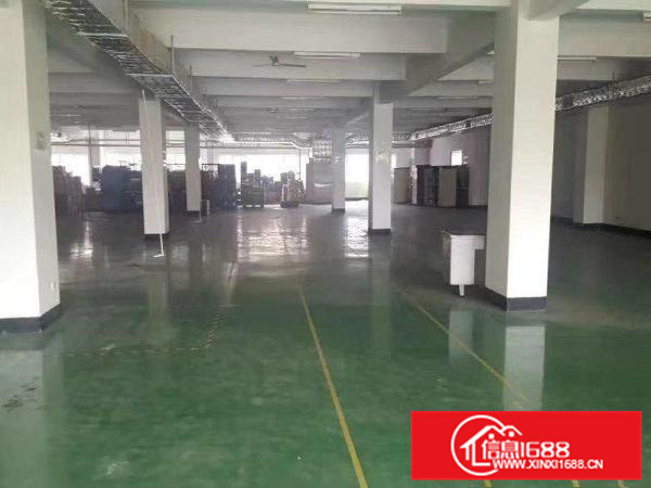 惠城独院花园式三层约4000平方带装修电梯红本厂房招租