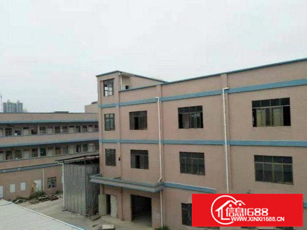 坂田新出原房东独门独院三层每层1500平分层租空地大