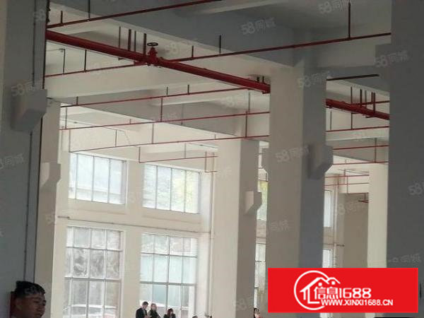 形象好！可办环评！大岭山空出独门独院全新厂房1000平起租