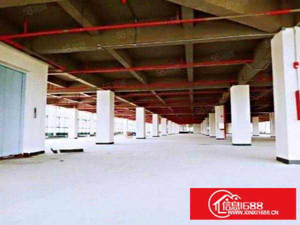 寮步原房东独院厂房上市公司有红本