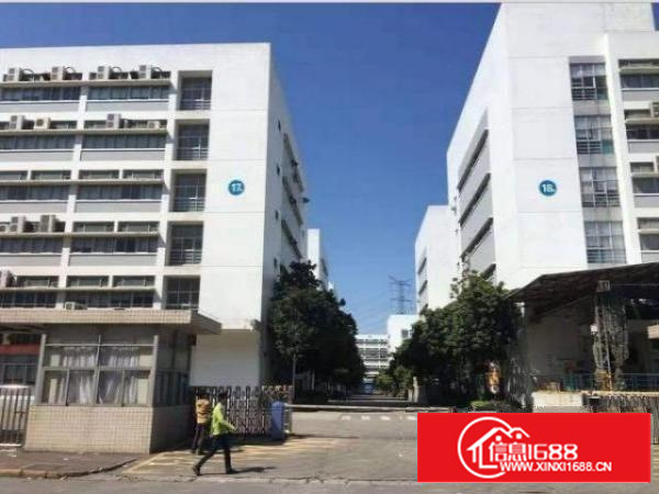 石排黄家壆3万平红本厂房出租300平起分带装修