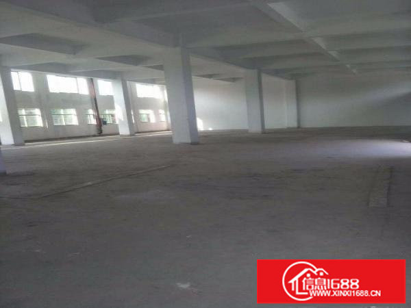 龙岗坪地60000平米厂房出租，可分租