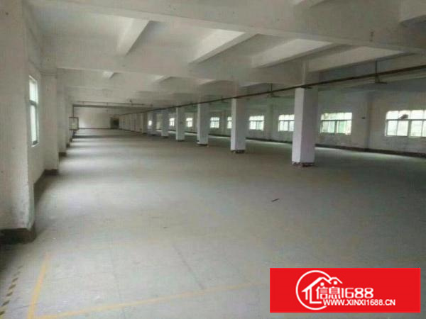 出租龙岗区横岗15000平米独院500平米起分租