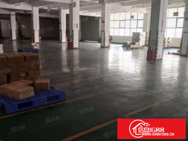 平湖海吉星附近工业园一楼2500平方带冻库厂房出租，可分租！