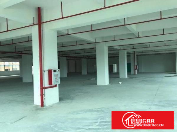 塘夏平山，全新2050平方标准厂房，可整租可分租，租14块