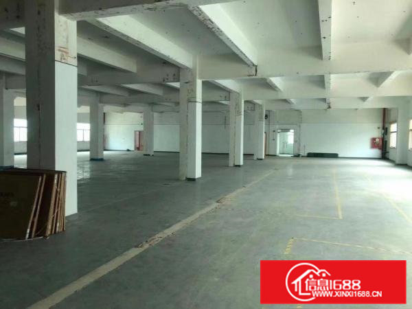 清溪大利新出2楼1350平带装修厂房出租拎包生产