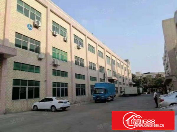 凤岗金凤凰新出一楼标准厂房1200平，6.5高带牛角拎包入住