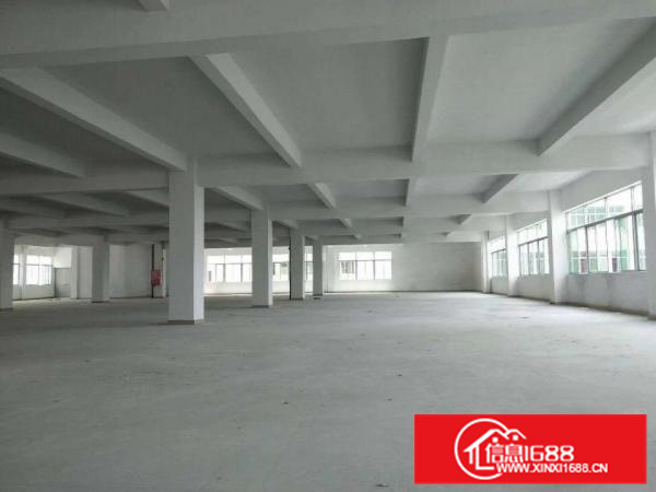 独栋形象好交通方便容桂标准6500方厂房出租